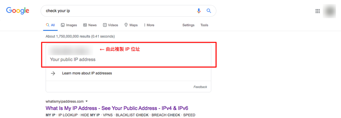 截圖：在 Google 搜尋上查看 IP 位址